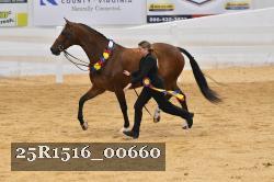 25R1516_00660 thumbnail