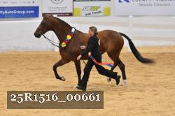 25R1516_00661 thumbnail