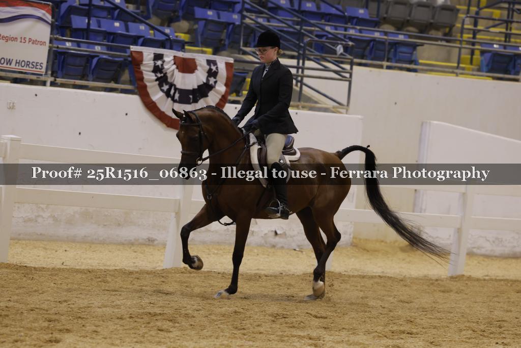 Proof Number 25R1516_06863