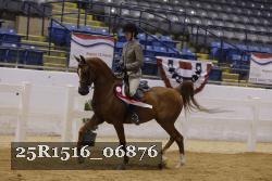 25R1516_06876 thumbnail