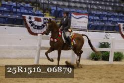 25R1516_06879 thumbnail