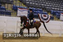 25R1516_06880 thumbnail