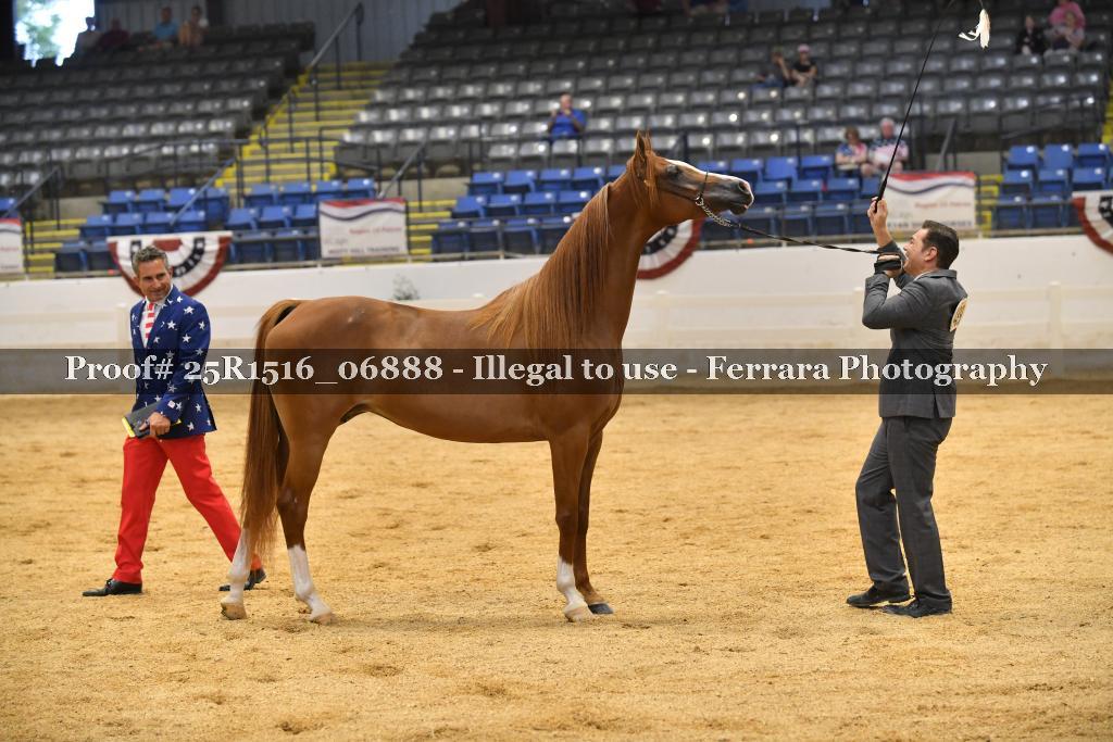 Proof Number 25R1516_06888