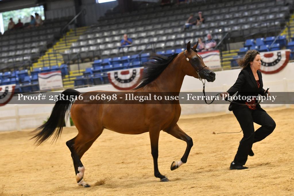 Proof Number 25R1516_06898