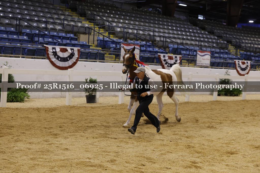 Proof Number 25R1516_06925