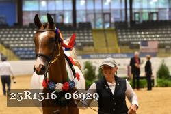 25R1516_06929 thumbnail