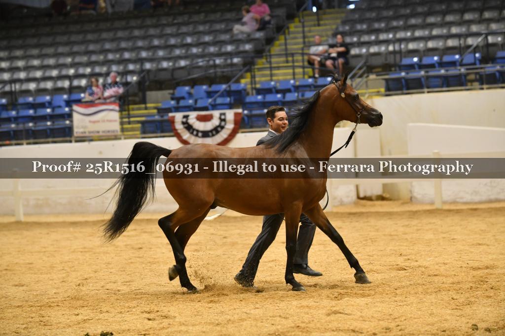 Proof Number 25R1516_06931