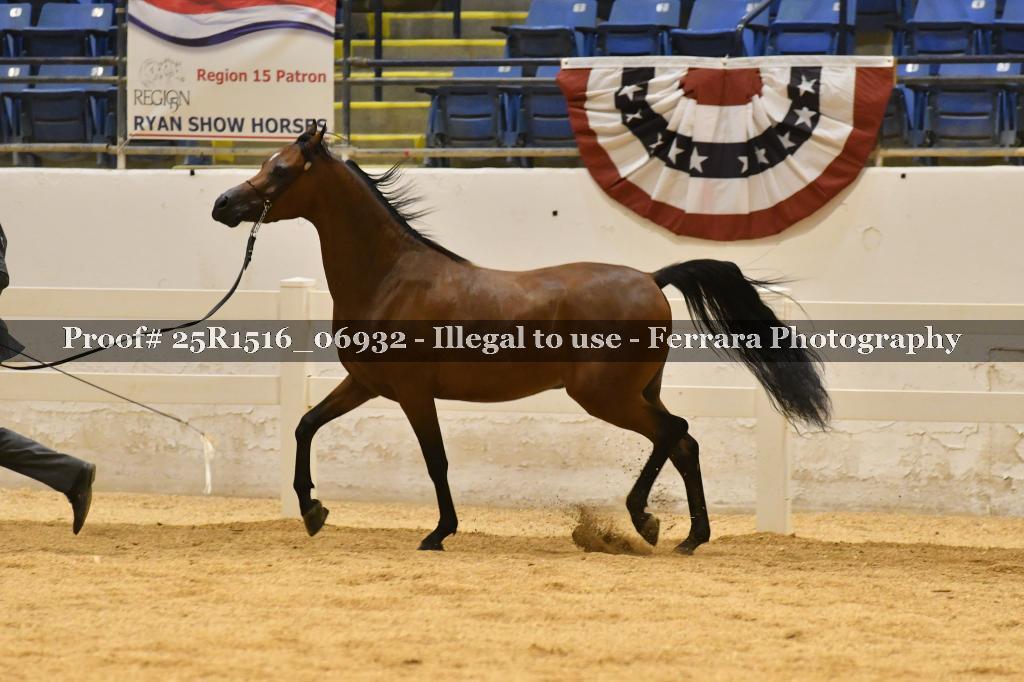 Proof Number 25R1516_06932