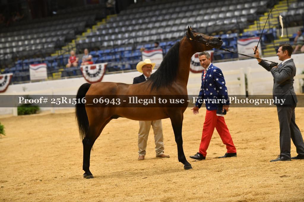 Proof Number 25R1516_06943