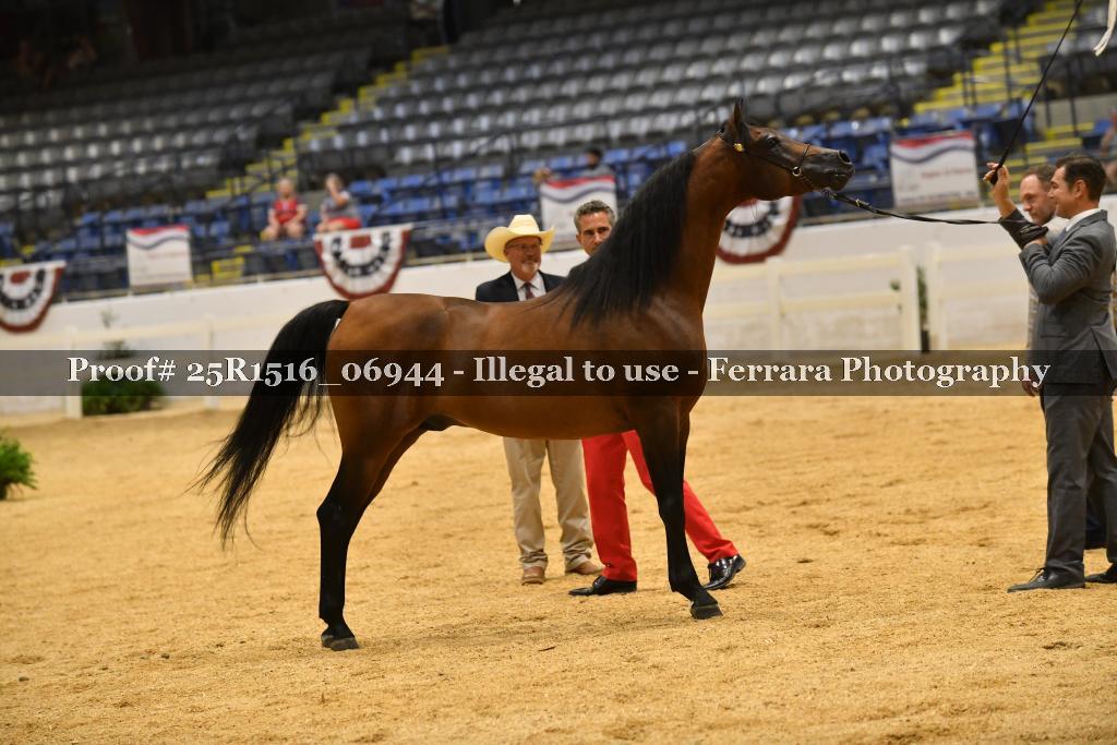 Proof Number 25R1516_06944
