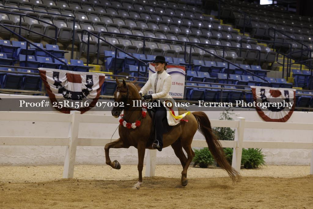 Proof Number 25R1516_07002