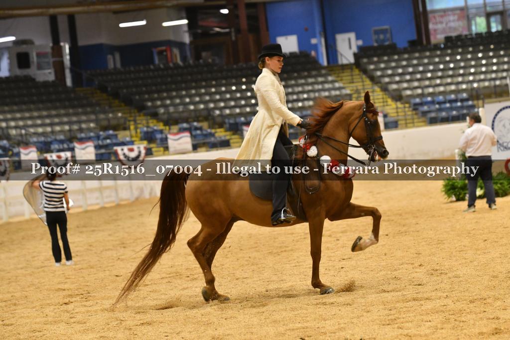 Proof Number 25R1516_07004