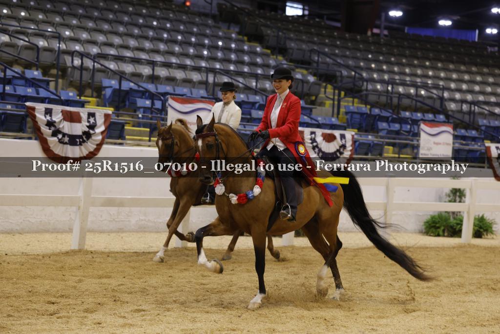 Proof Number 25R1516_07010
