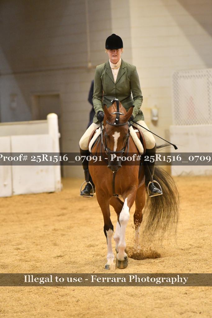 Proof Number 25R1516_07091