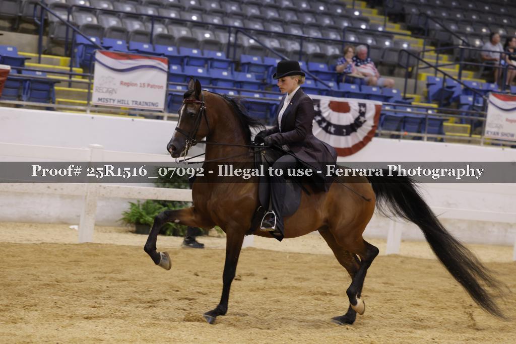 Proof Number 25R1516_07092