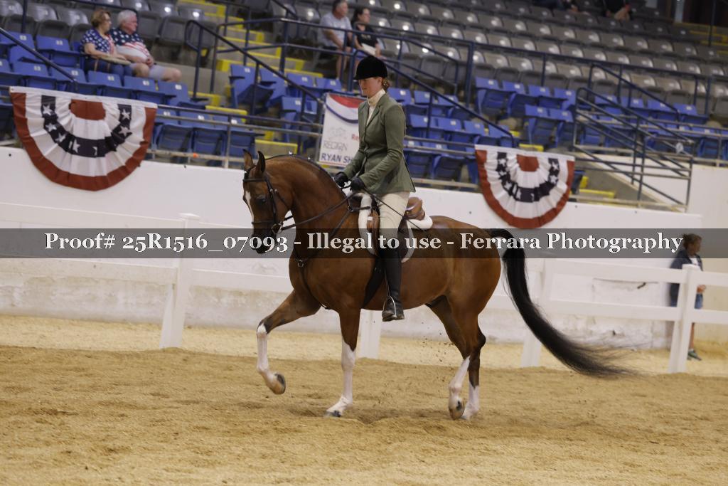 Proof Number 25R1516_07093