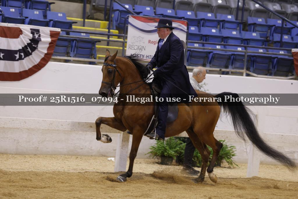 Proof Number 25R1516_07094