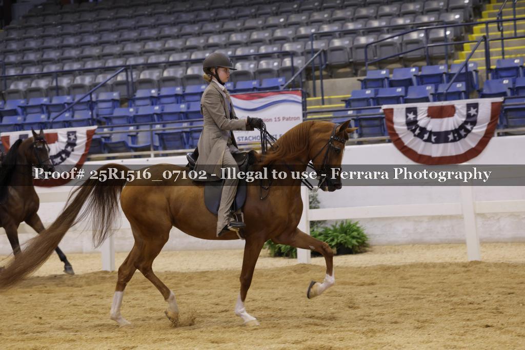 Proof Number 25R1516_07102