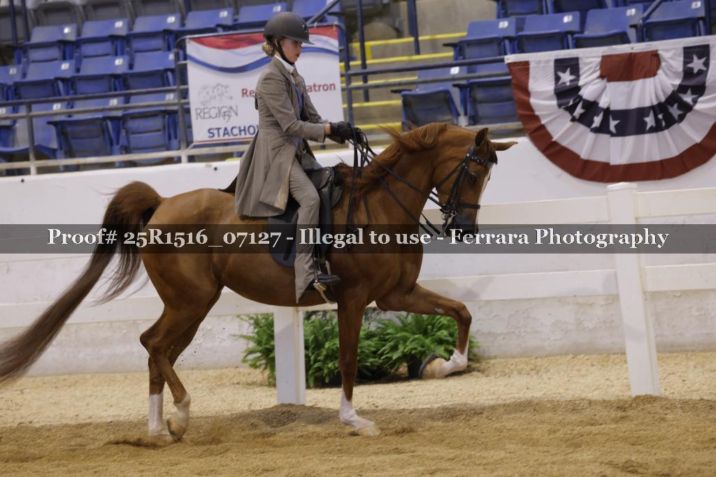 Proof Number 25R1516_07127