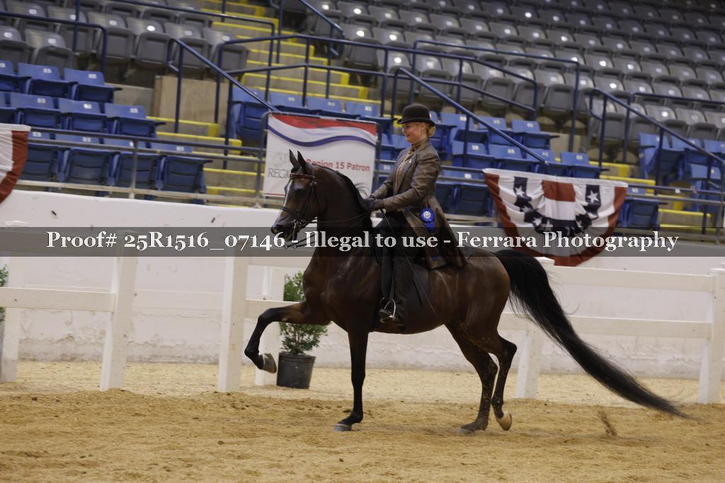 Proof Number 25R1516_07146