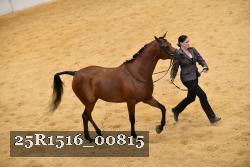 25R1516_00815 thumbnail