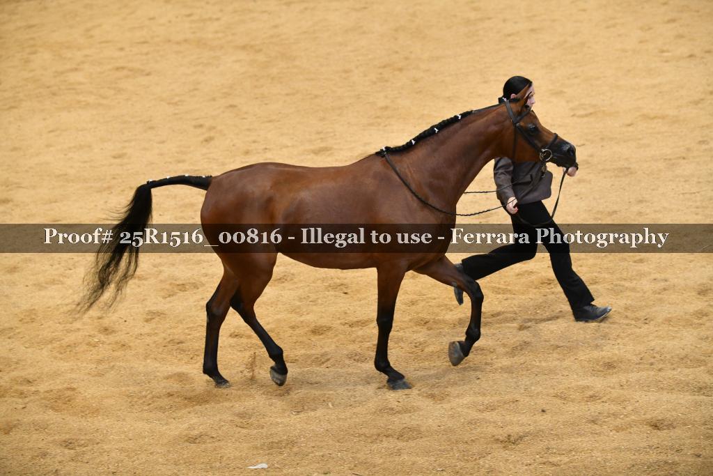 Proof Number 25R1516_00816