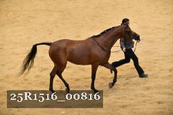 25R1516_00816 thumbnail