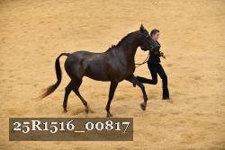 25R1516_00817 thumbnail