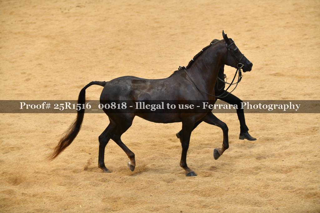 Proof Number 25R1516_00818