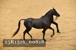 25R1516_00818 thumbnail