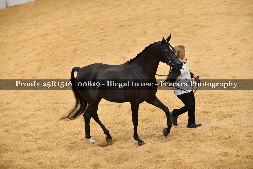 Proof Number 25R1516_00819