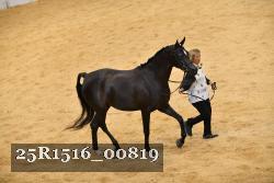 25R1516_00819 thumbnail