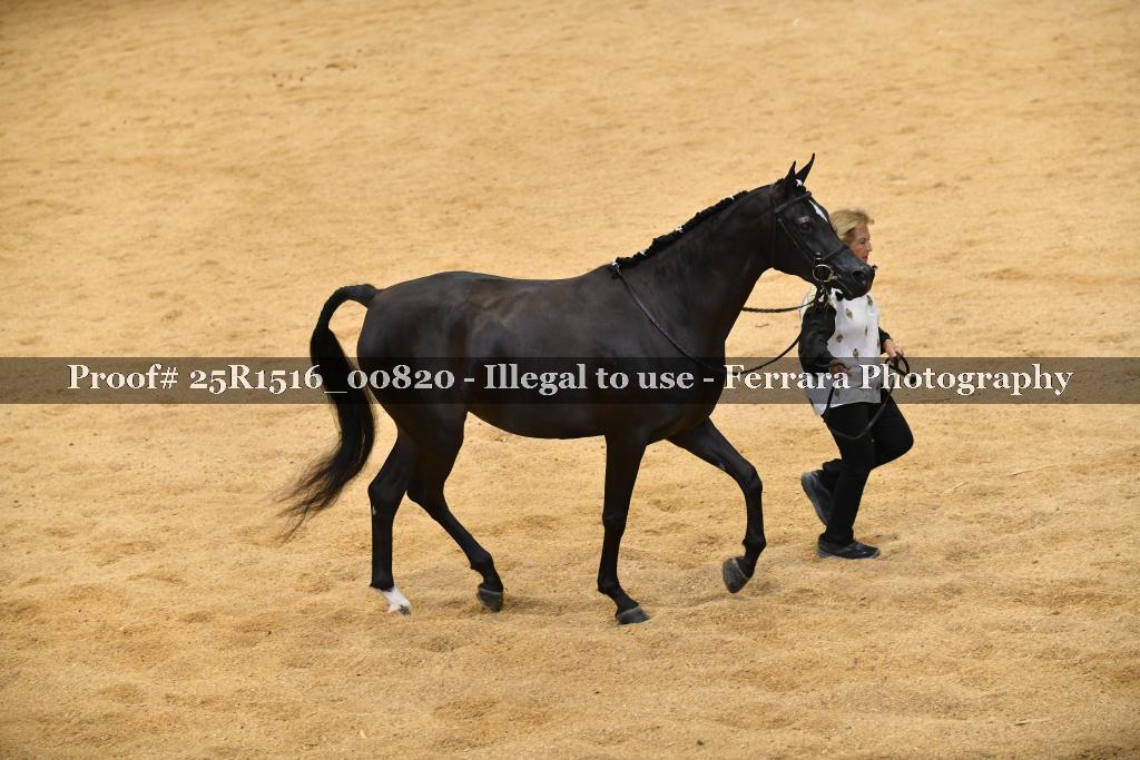 Proof Number 25R1516_00820
