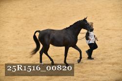 25R1516_00820 thumbnail