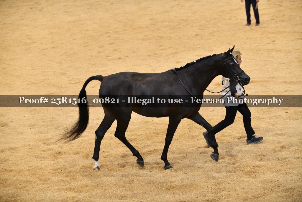 Proof Number 25R1516_00821