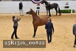 25R1516_00822 thumbnail