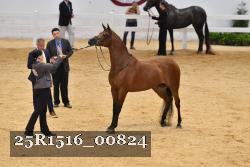 25R1516_00824 thumbnail