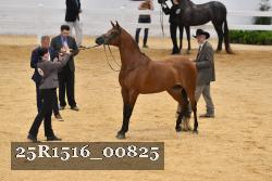25R1516_00825 thumbnail
