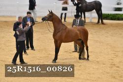 25R1516_00826 thumbnail
