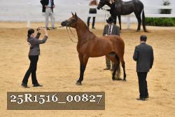 25R1516_00827 thumbnail