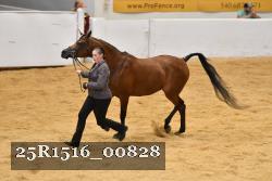 25R1516_00828 thumbnail