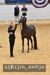 25R1516_00830 thumbnail
