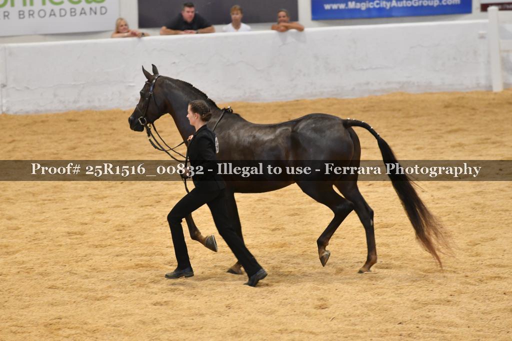 Proof Number 25R1516_00832