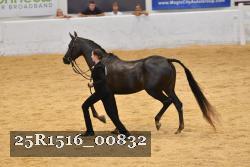 25R1516_00832 thumbnail