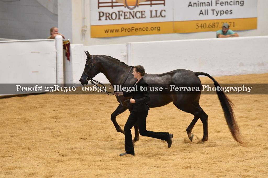 Proof Number 25R1516_00833
