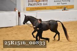 25R1516_00833 thumbnail
