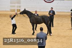 25R1516_00834 thumbnail