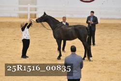 25R1516_00835 thumbnail