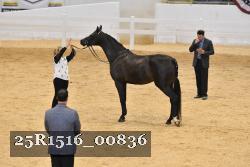 25R1516_00836 thumbnail