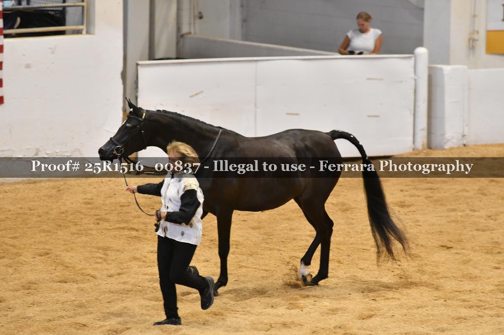 Proof Number 25R1516_00837